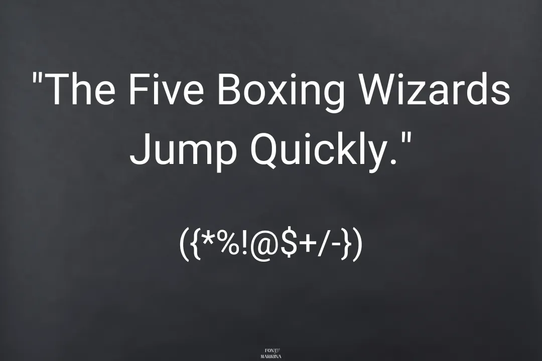 Roboto Font