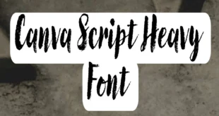 Canvas Script Heavy Font